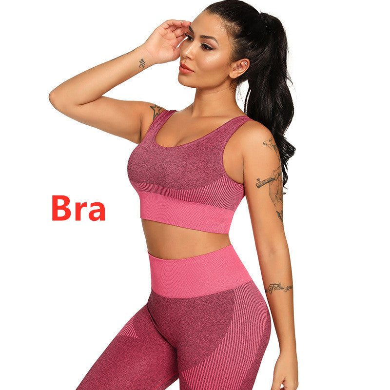 Two Set Piece Women Tracksuit Fitness Suit Bra