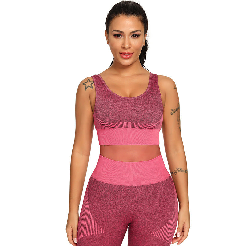 Two Set Piece Women Tracksuit Fitness Suit Bra