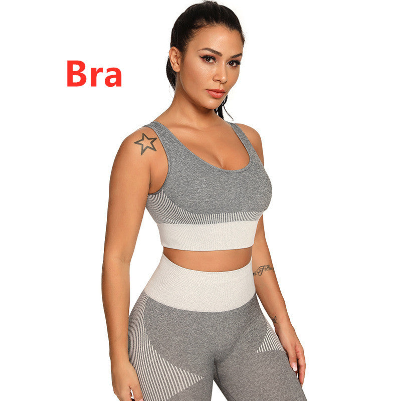 Two Set Piece Women Tracksuit Fitness Suit Bra